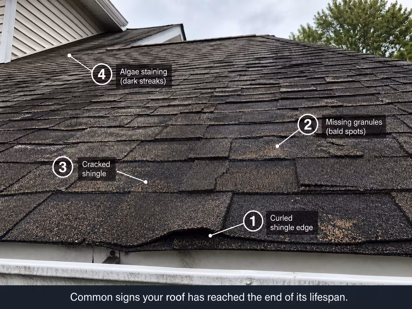 Editorial illustration of a residential roof showing 8 common warning signs of replacement: curling shingles, bald spots, cracked shingles, sagging deck, ceiling water stains, attic daylight, worn ridge caps, and damaged flashing